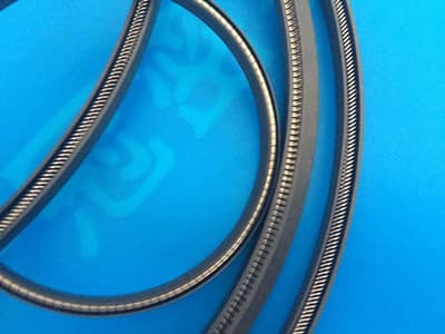 ptfe spring energized seals